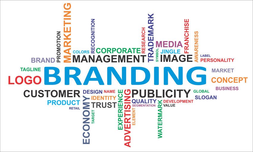 Brand Management